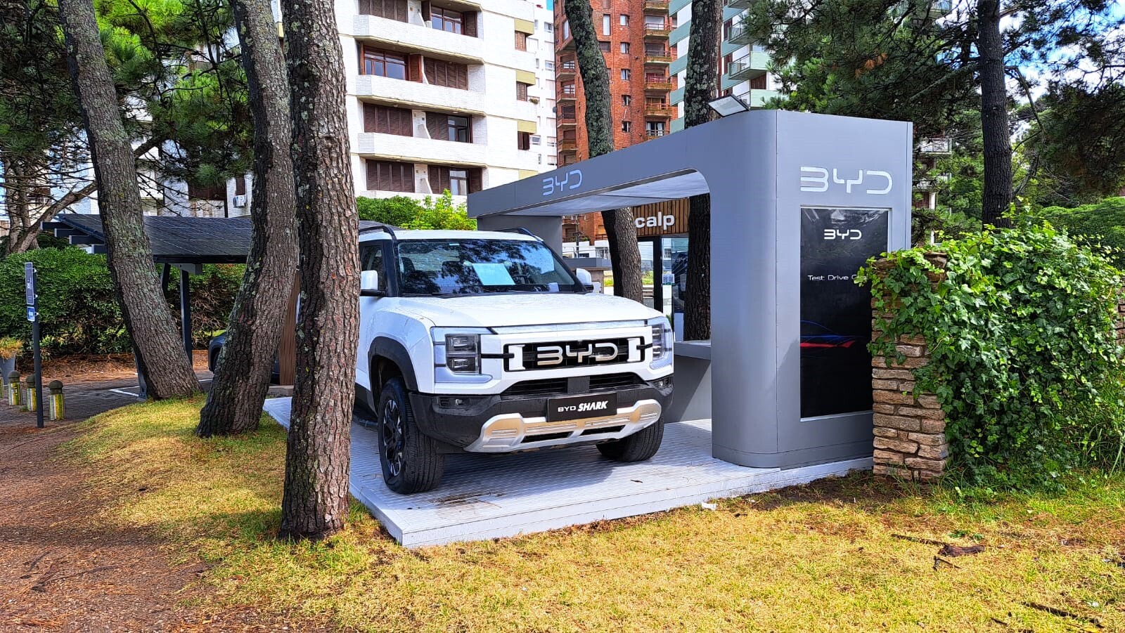 BYD, Acción Verano, 2026